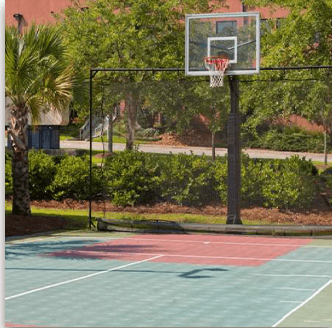 State-of-the-Art Gymnasium